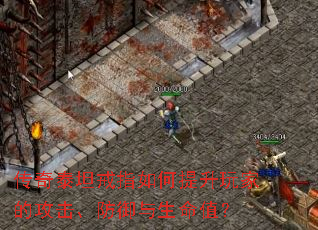 ����̩̹��ָ���������ҵĹ���������������ֵ��