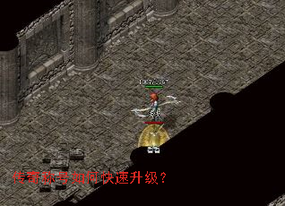 ����ƺ���ο���������