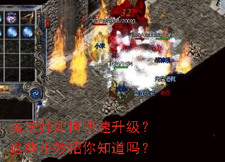 ħ��ʦ��ο�����������ЩС������֪����