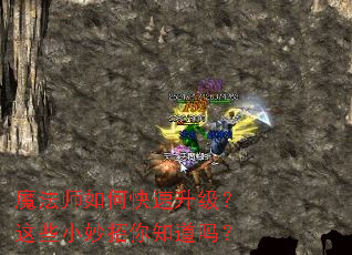 ħ��ʦ��ο�����������ЩС������֪����