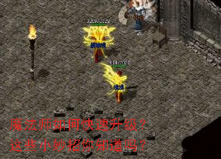 ħ��ʦ��ο�����������ЩС������֪����