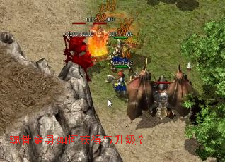 魂骨金身如何获得与升级? 魂骨金身如何获得与升级?