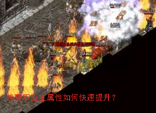 ����ְҵ��������ο���������