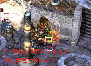 �����սͭ���崫����Ϸ�е�����ר��boss��