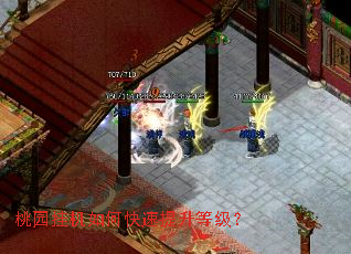 桃园挂机如何快速提升等级? 桃园挂机如何快速提升等级?