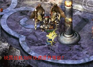 ��԰�һ���ο��������ȼ���