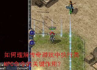 ������⴫����Ϸ��ִ����NPC����Ĺؼ����ã�