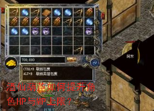 ���ɺ�«���������ɫHP��MP���ޣ�