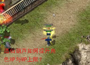 ���ɺ�«���������ɫHP��MP���ޣ�