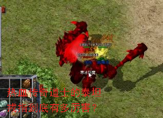 ��Ѫ�����ʿ��̩̹��ָ�����ж�������