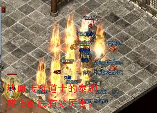 ��Ѫ�����ʿ��̩̹��ָ�����ж�������