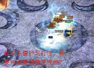 �����ڽ�ʬ����֣���Ҫ�ر���������