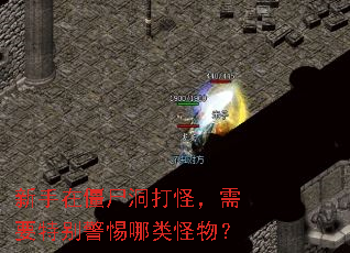 �����ڽ�ʬ����֣���Ҫ�ر���������