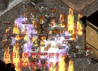 ������ӥ���ǹ���������λ����������