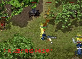 ��ο��ٻ�ó�����ͼֽ��