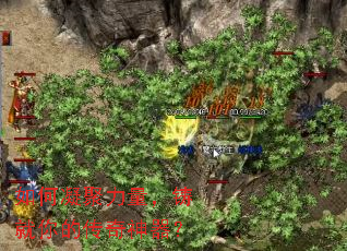 �������������������Ĵ���������