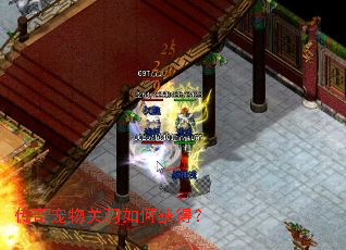 ������������λ�ã�