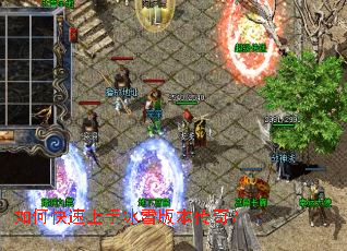 ��ο������ֱ�ѩ�汾���棿