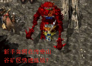 ��������ڴ���ɽ�ȿ�������������