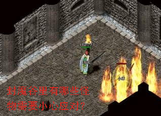 ��ħ��������Щ������ҪС��Ӧ�ԣ�