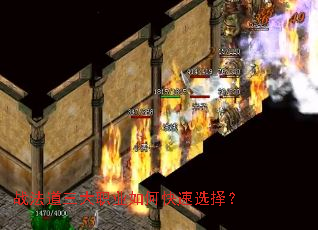 ս��������ְҵ��ο���ѡ��