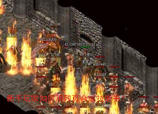 �����������ò�ҳ�ϳɼ����飿