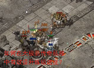 ����ڴ�Ʒ����˽������Ч���������ٶȣ�