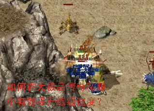 ����ڴ�Ʒ����˽������Ч���������ٶȣ�