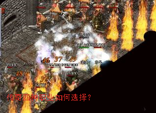 ��������ְҵ���ѡ��