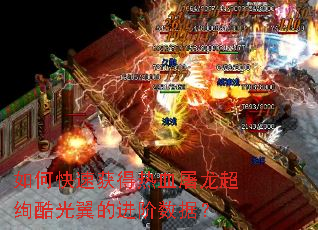 如何快速获得热血屠龙超绚酷光翼的进阶数据? 如何快速获得热血屠龙超绚酷光翼的进阶数据?