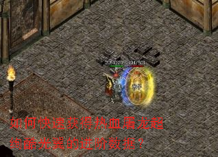 如何快速获得热血屠龙超绚酷光翼的进阶数据? 如何快速获得热血屠龙超绚酷光翼的进阶数据?