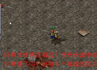 ���䴫���ٶ����𣿴���ϻ��е�С�������������������㲻֪����ʵ���ؼ�