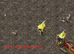 ��ο���������ʿ�ȼ���