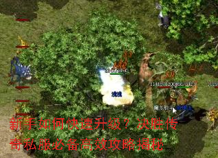 新手如何快速升级?决胜传奇私服必备高效攻略揭秘 新手如何快速升级?决胜传奇私服必备高效攻略揭秘