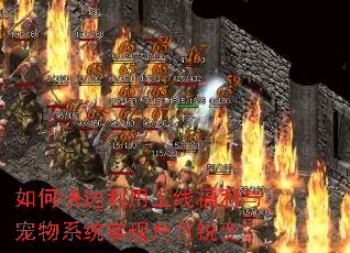 ��ο����������߸��������ϵͳʵ�ֽ�ɫ��䣿