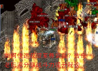 如何快速获取至尊装备?传奇老玩家分享战斗力提升秘诀 如何快速获取至尊装备?传奇老玩家分享战斗力提升秘诀