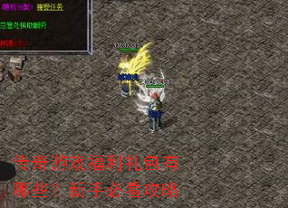 ������Ϸ�����������Щ�����ֱؿ�����