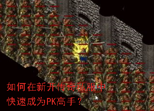 ������¿�����˽���п��ٳ�ΪPK���֣�