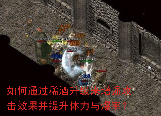 ���ͨ��ϡ����������ǿ����Ч�������������뱬�ʣ�