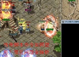 ����ű��������ʹ�ã���������ȫ����