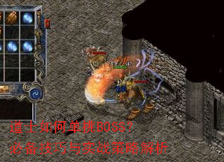 ��ʿ��ε���BOSS���ر�������ʵս���Խ���