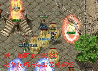 ��ʿ��ε���BOSS���ر�������ʵս���Խ���