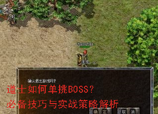 ��ʿ��ε���BOSS���ر�������ʵս���Խ���