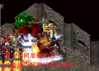 ��ʿ��ε���BOSS���ر�������ʵս���Խ���