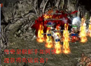 ����ʳ�������ο��ٻ�ø߼�װ����