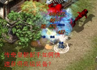 ����ʳ�������ο��ٻ�ø߼�װ����