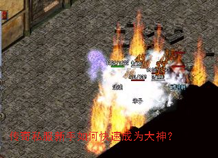 传奇私服新手如何快速成为大神? 传奇私服新手如何快速成为大神?