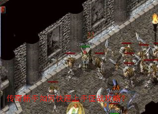 ����������ο���������ս���ԣ�