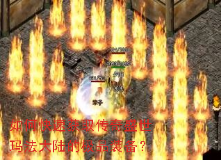 ��ο��ٻ�ȡ����ʢ���귨��½�ļ�Ʒװ����