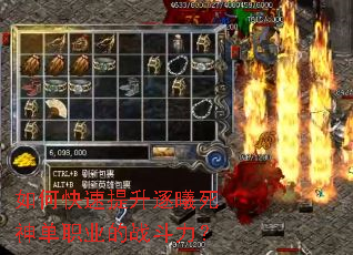 ��ο���������������ְҵ��ս������